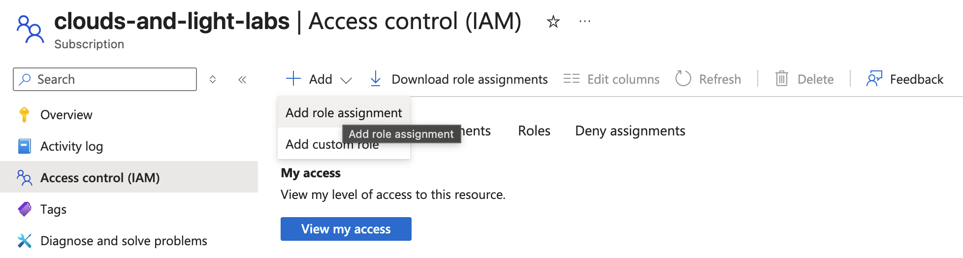 Add role assignment menu opened