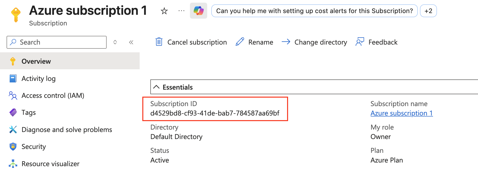 Subscription Overview page with the Subscription ID highlighted